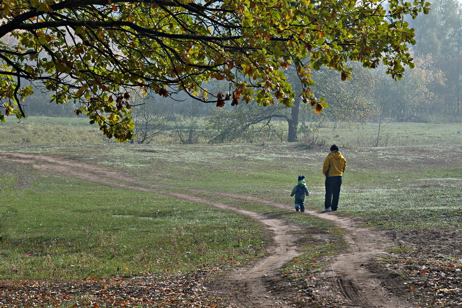 On walk in the wood - Виктор 