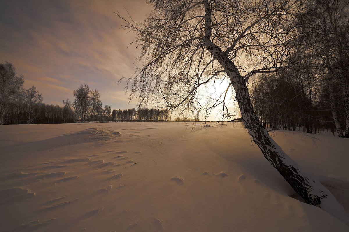 Поутру зимой проснувшись 8 - Сергей Жуков