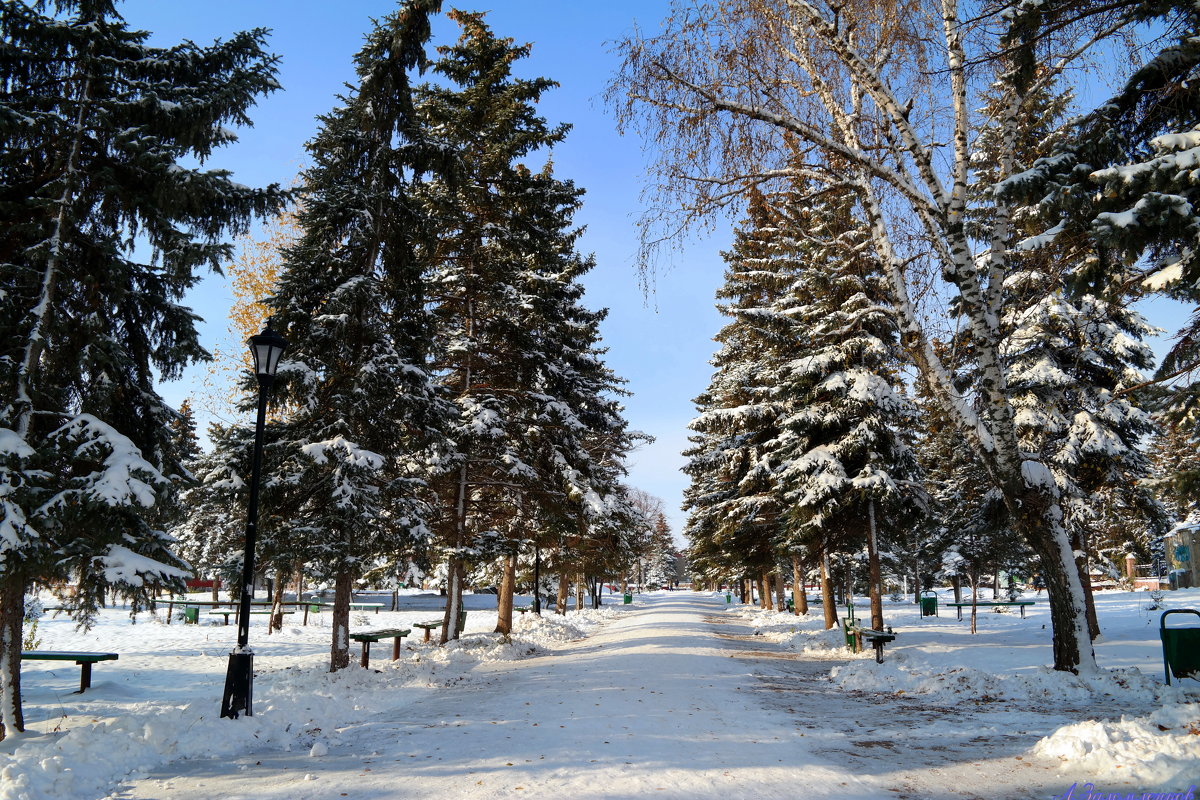 В зимнем сквере - Андрей Заломленков