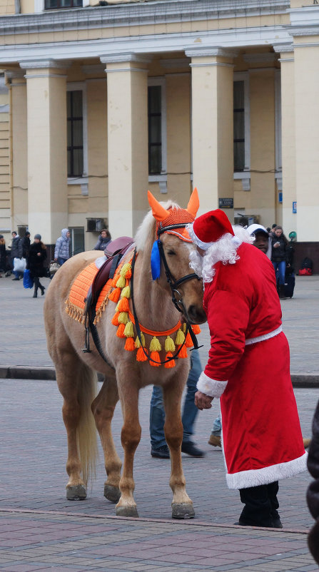 2015 - Роман Кривеженко