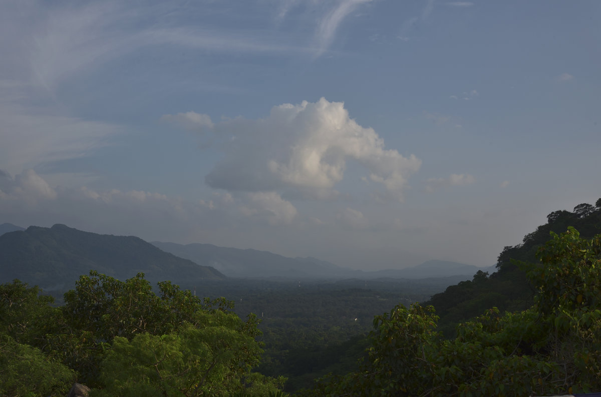 Леса около храма в Дамбулле. Шри Ланка. The forests around the temple in Dambulla. Sri Lanka - Юрий Воронов