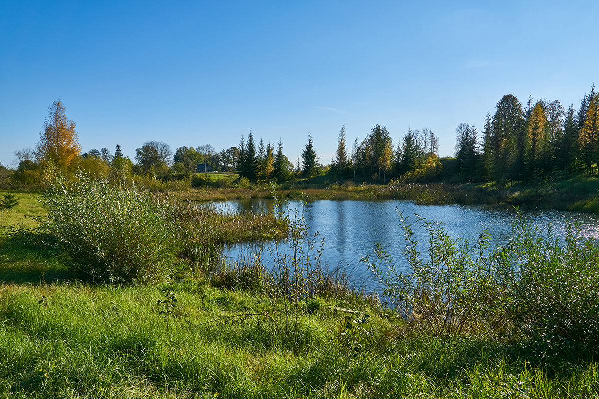 Осень - Genych Bartkus