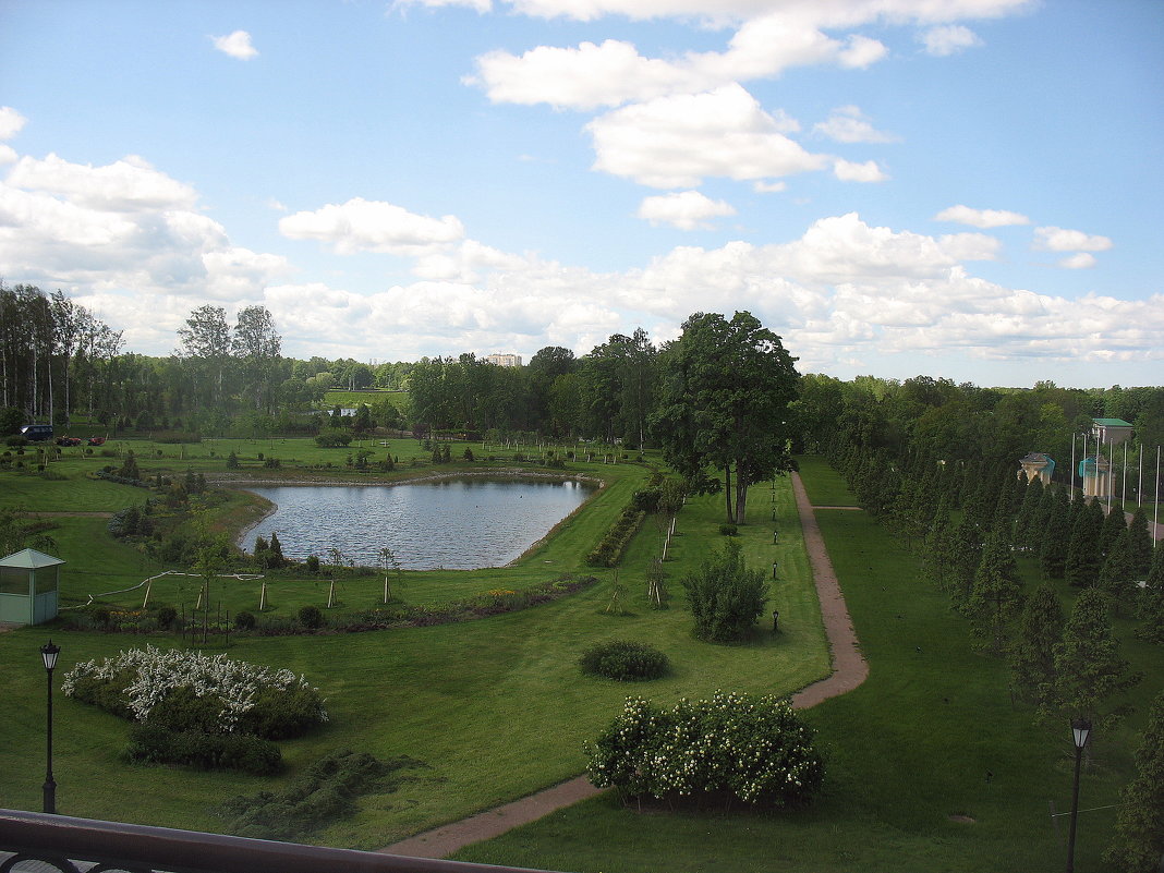 Вид из окна на парк - Елена Павлова (Смолова)