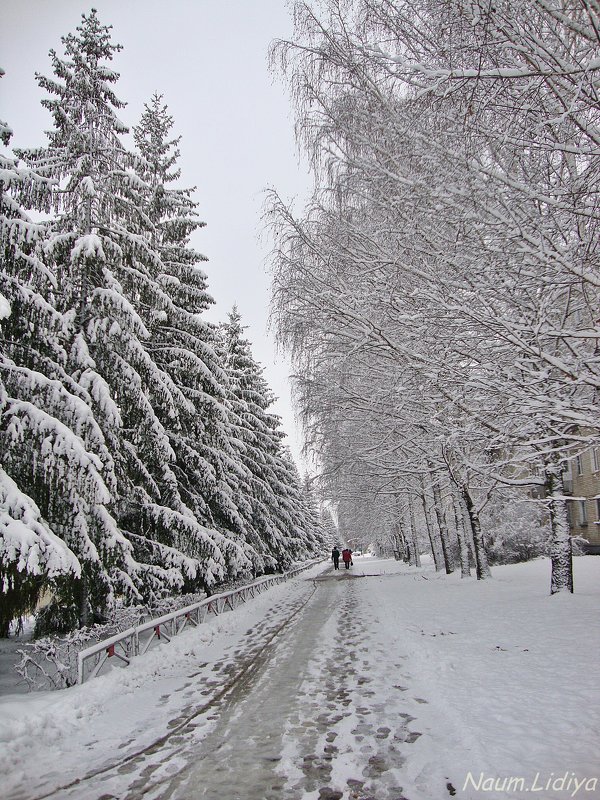 Снежно и вьюжит 2 - Лидия (naum.lidiya)