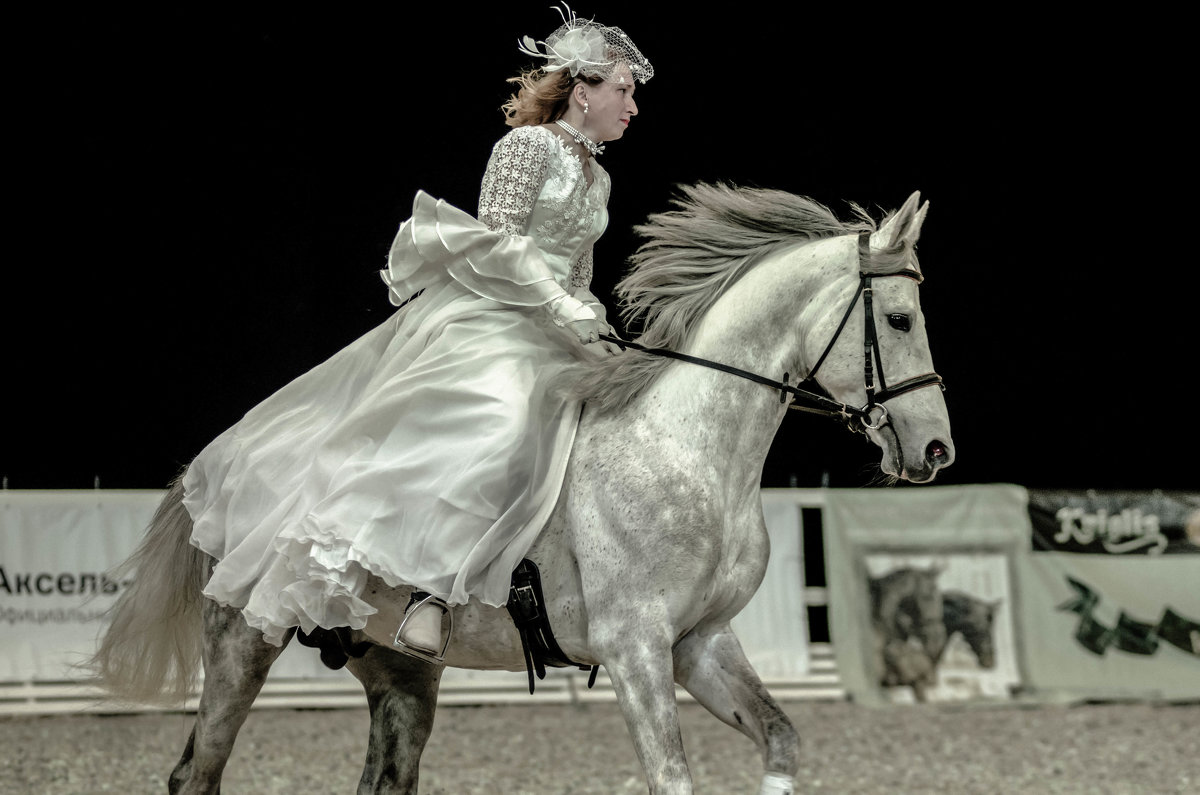Мечты и реальность о белом коне! - Cветлана Журкина