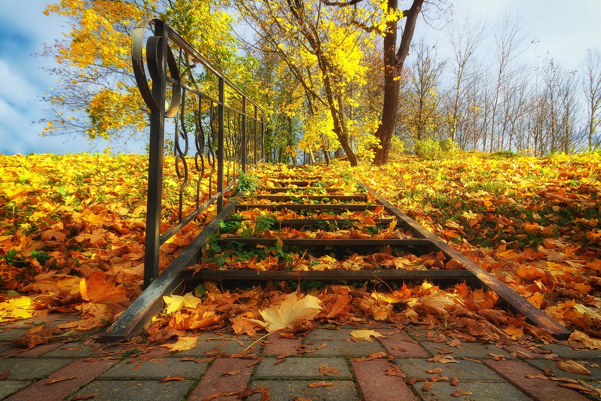 Осенний парк в Уфе
