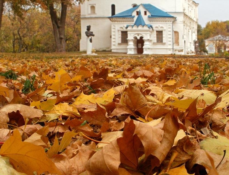Осенний мотив - Сергей Тарабара