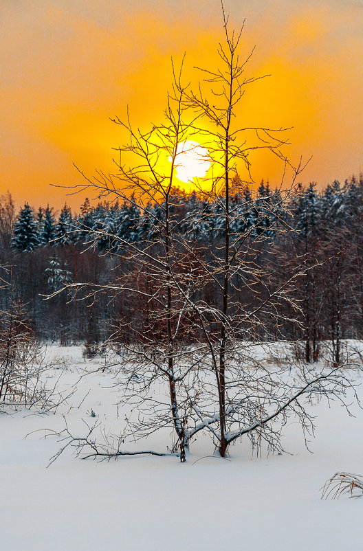 Первый день зимы - Александр Силинский