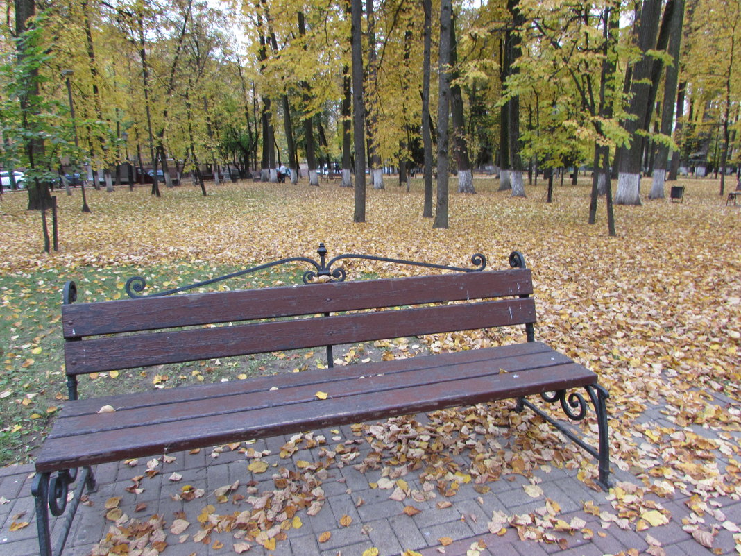 В осеннем парке - Валюша Черкасова