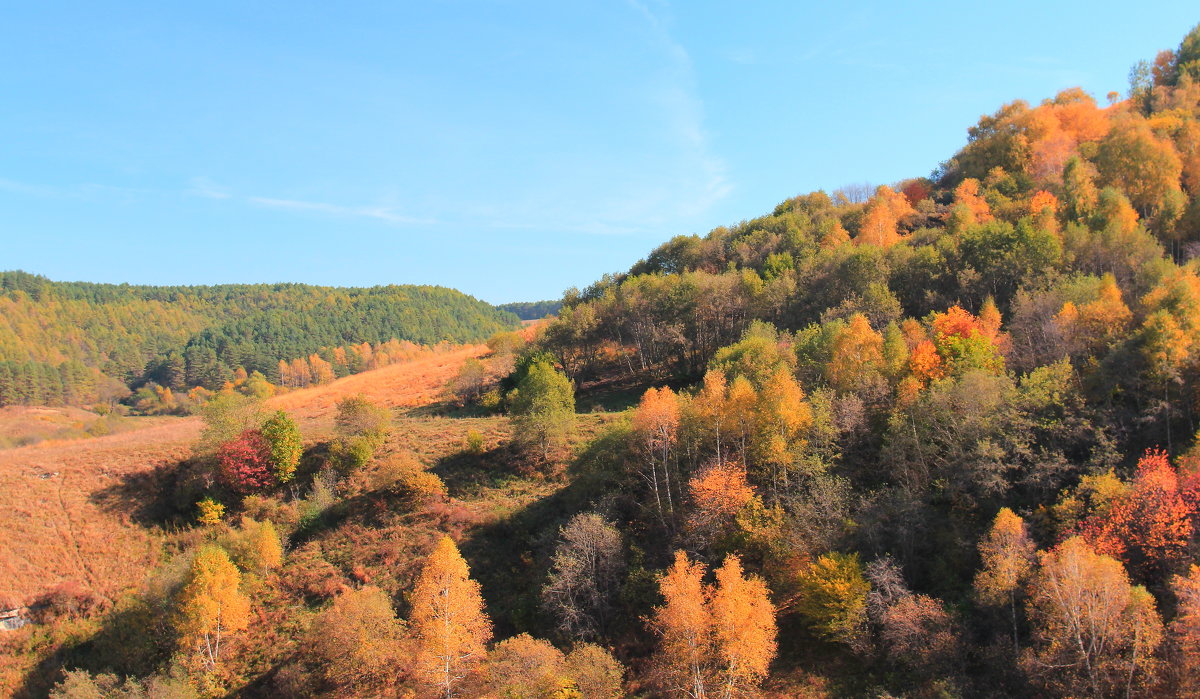 Золотая осень на Кавказских Минеральных водах. - Vladimir 070549 