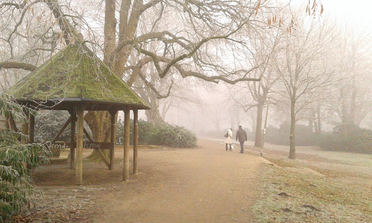 Прогулка в туманном парке - элина 