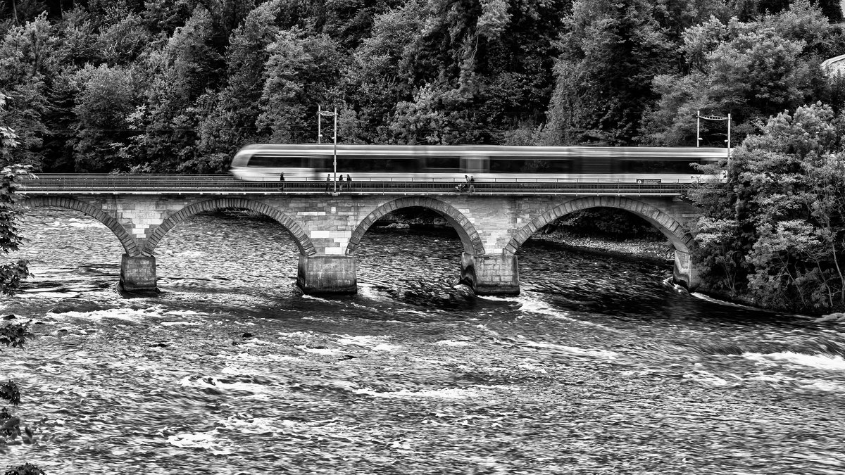 High-speed train on the Rhine - Dmitry Ozersky