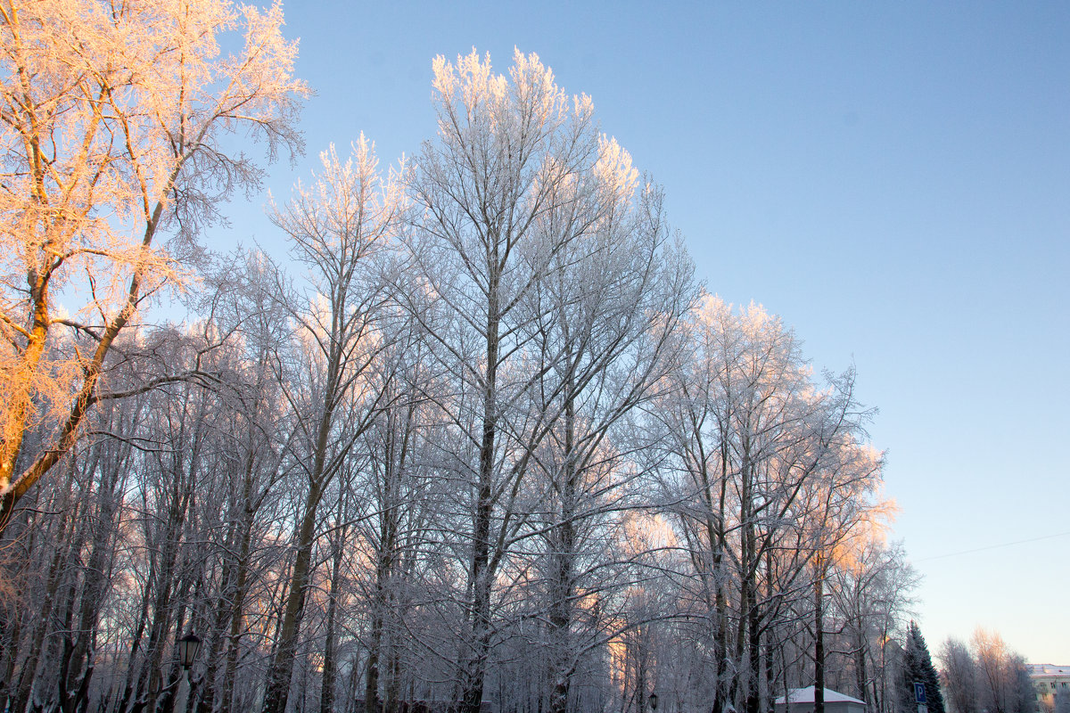 Зима в городе - Светлана Ку