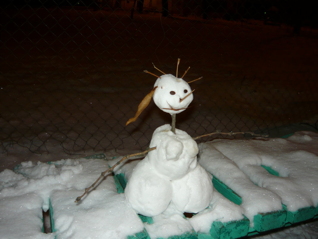 Снеговики и снежные бабы на любой вкус (34 фото)