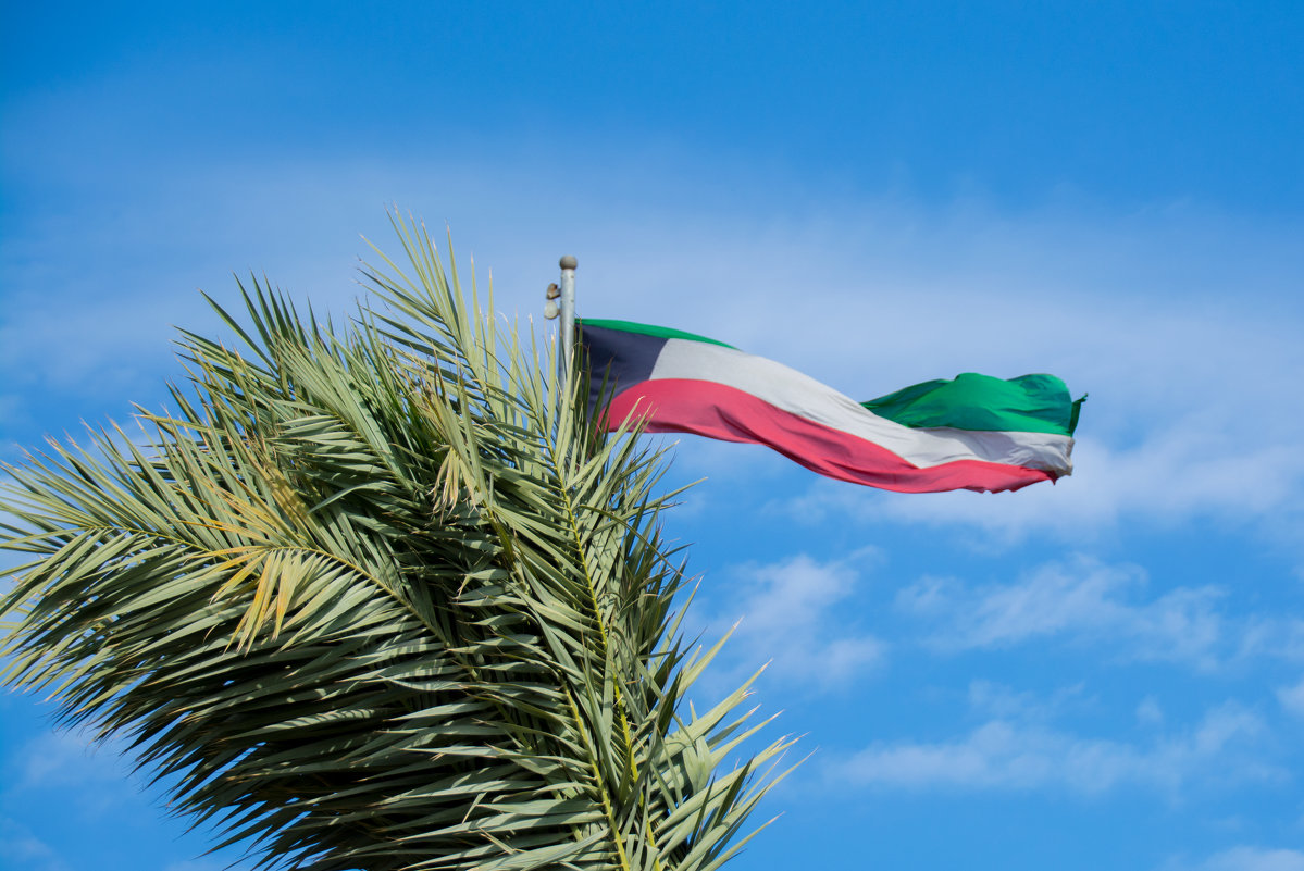 Флаг Кувейта - Kristina Suvorova