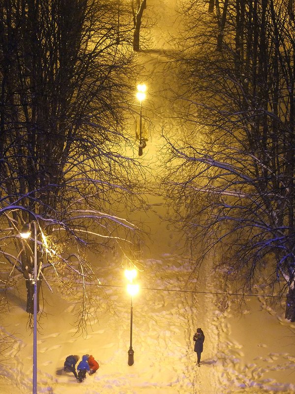 Снежный декабрь - Наталья Тимошенко