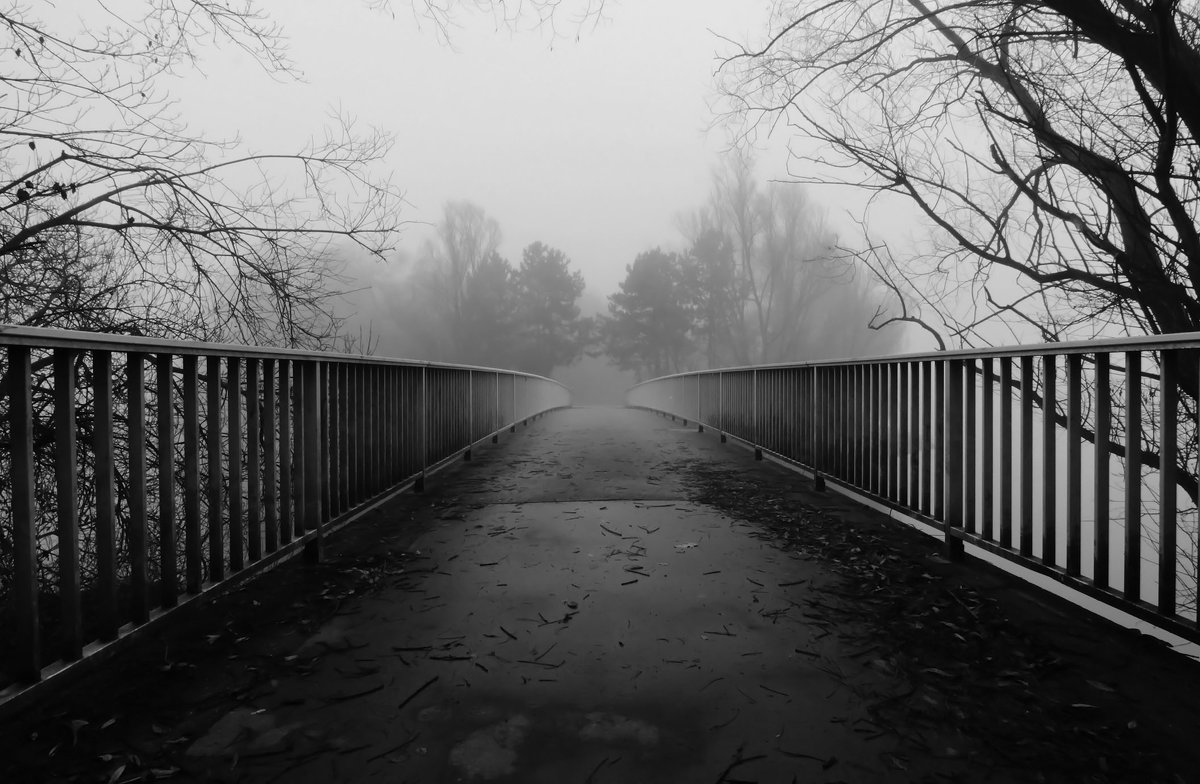 По мостику в туман - Alexander Andronik