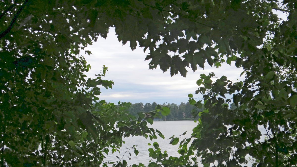 Взгляд на озеро - Вера Щукина