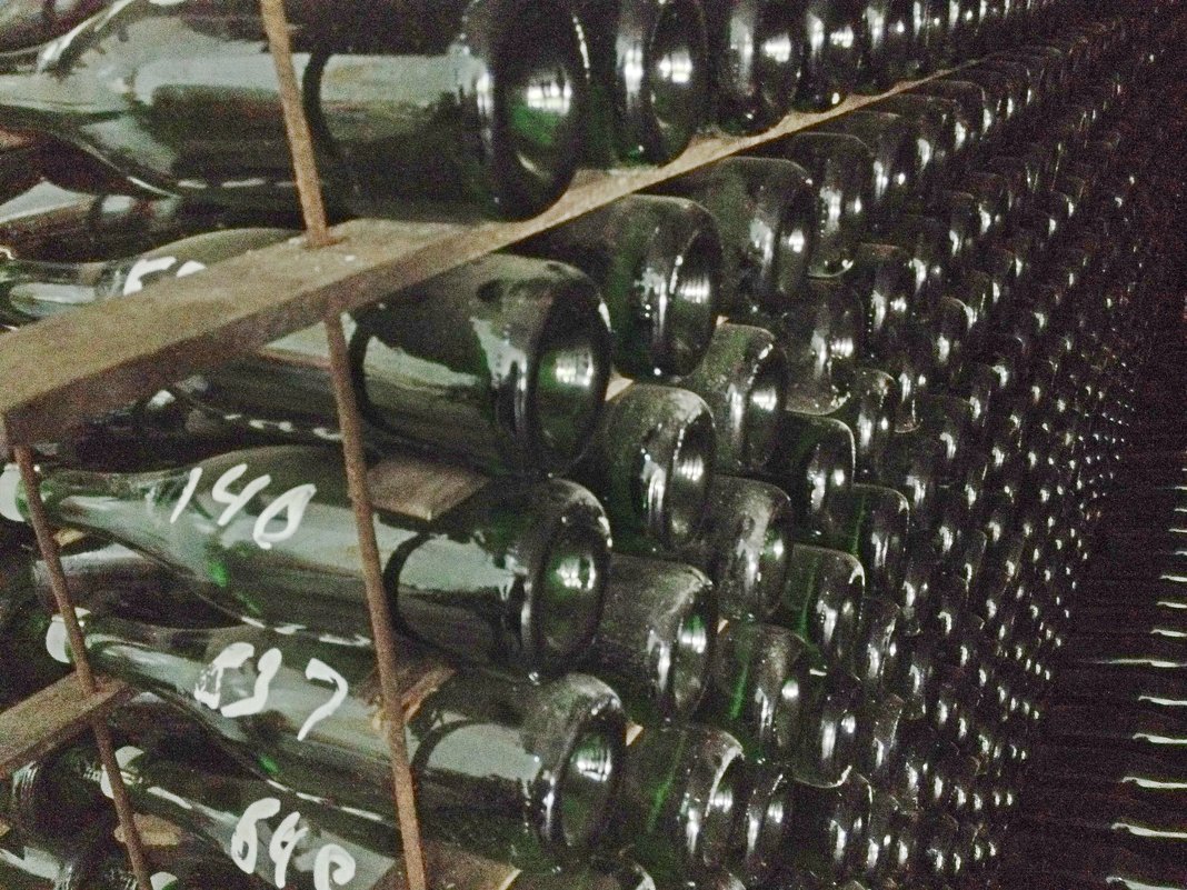 Завод шампанских вин Новый свет - Tata Wolf