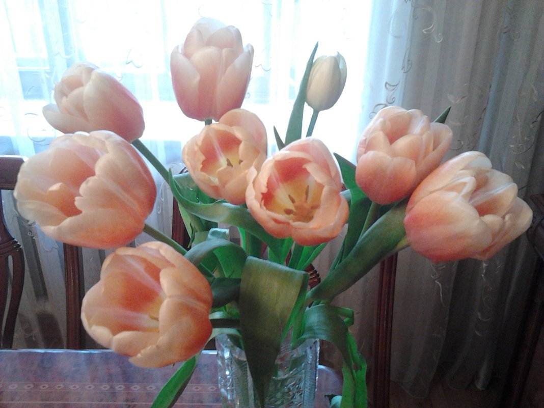 Тюльпаны в вазе - марина ковшова 