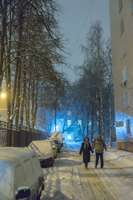 Снегопад в Москве. 1-я Парковая улица. - Игорь Герман