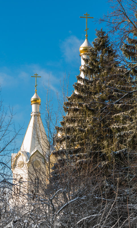 Храм новомученников в Бутово - Mikhail Andronikov