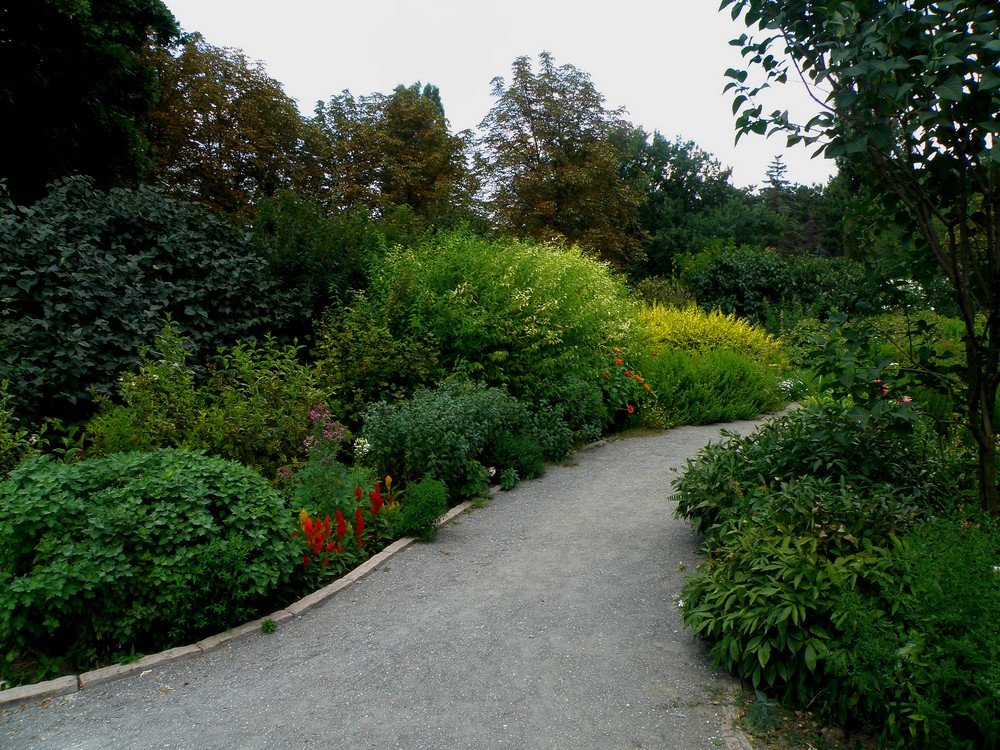 Ботанический сад - Александр Рыжов