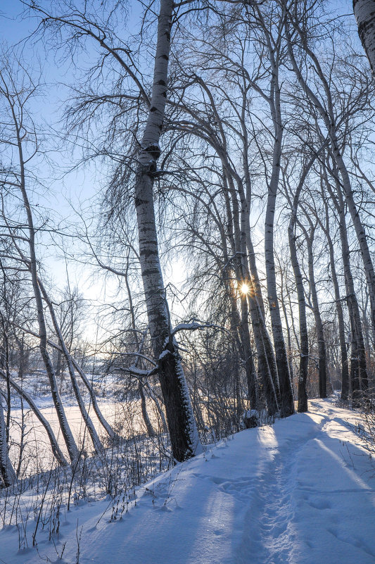 Зимняя тропинка вдоль реки Демы - Сергей Тагиров