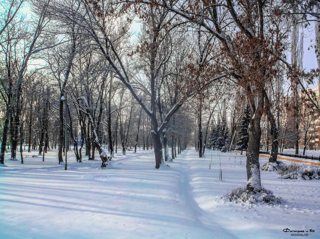 Зима в парке - Вячеслав Баширов