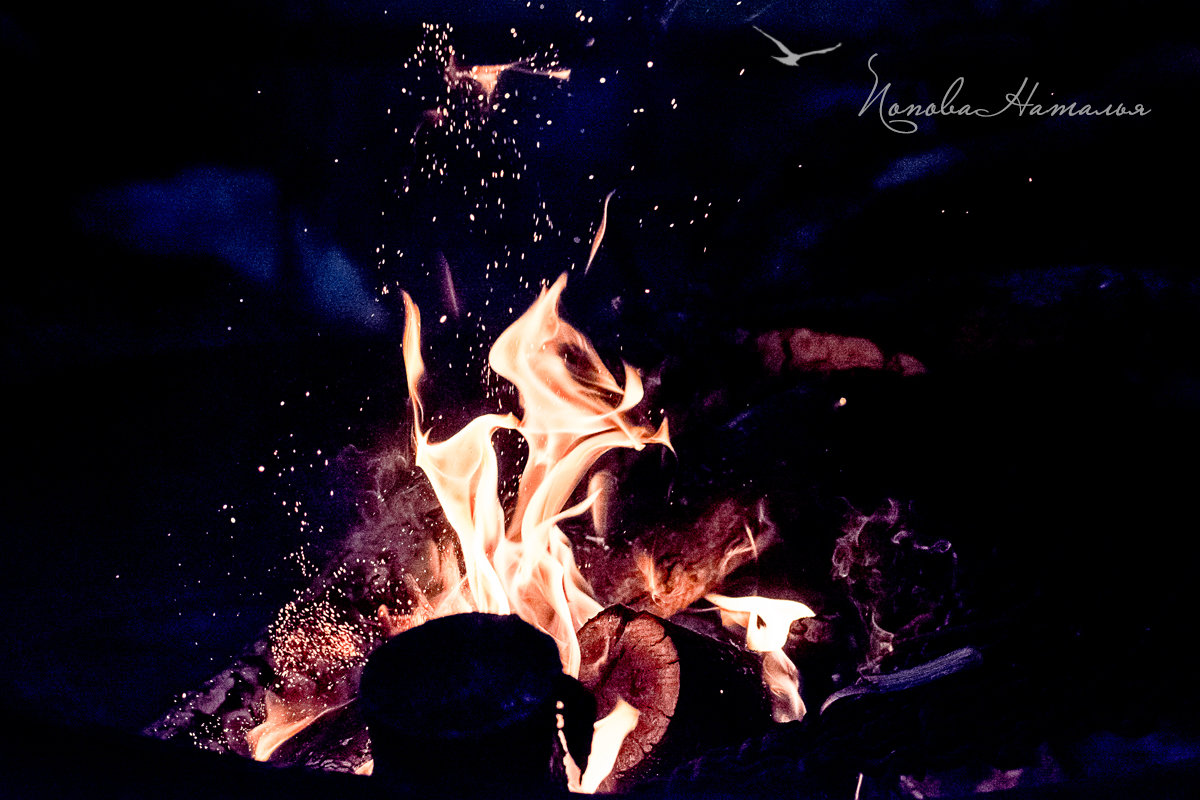 Огненный Цветок - Наталья Попова 