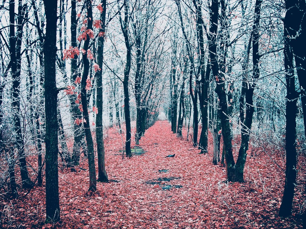 Осень - Jack Wall