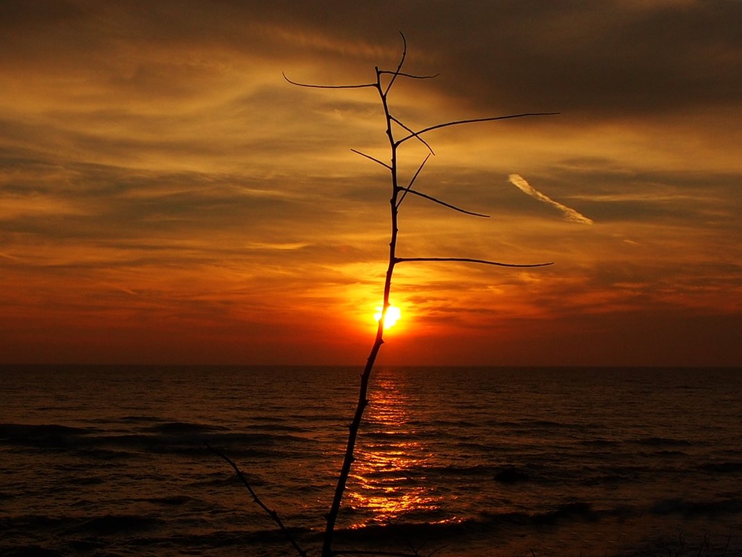 Мир встречает солнечный восход - wea *