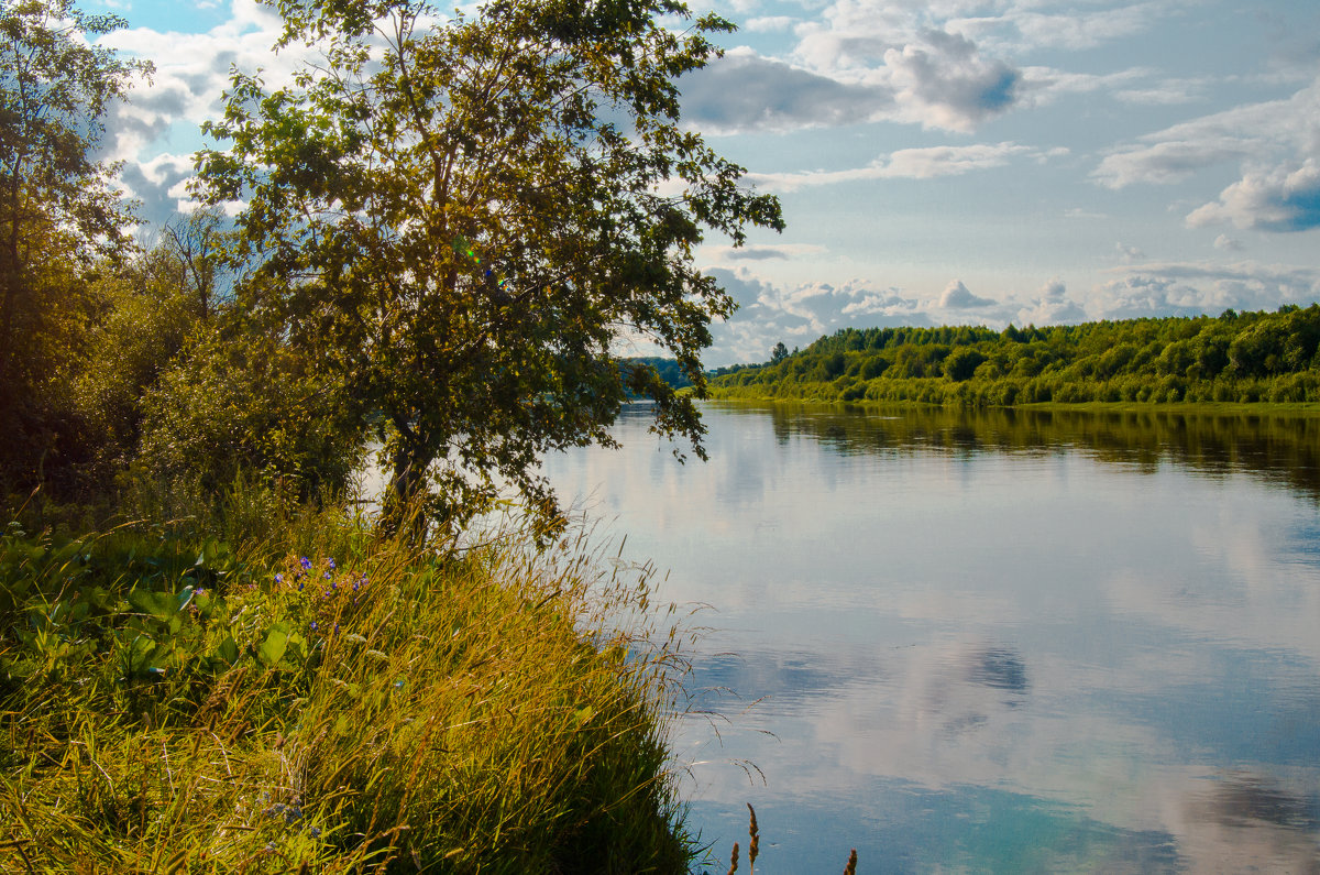 Река Молома - Илья Остроградский