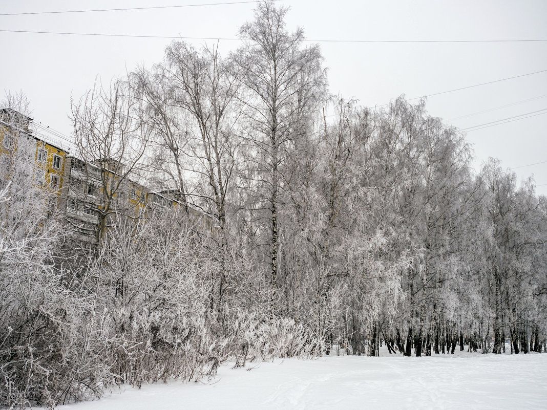 заморозило - Лариса Батурова