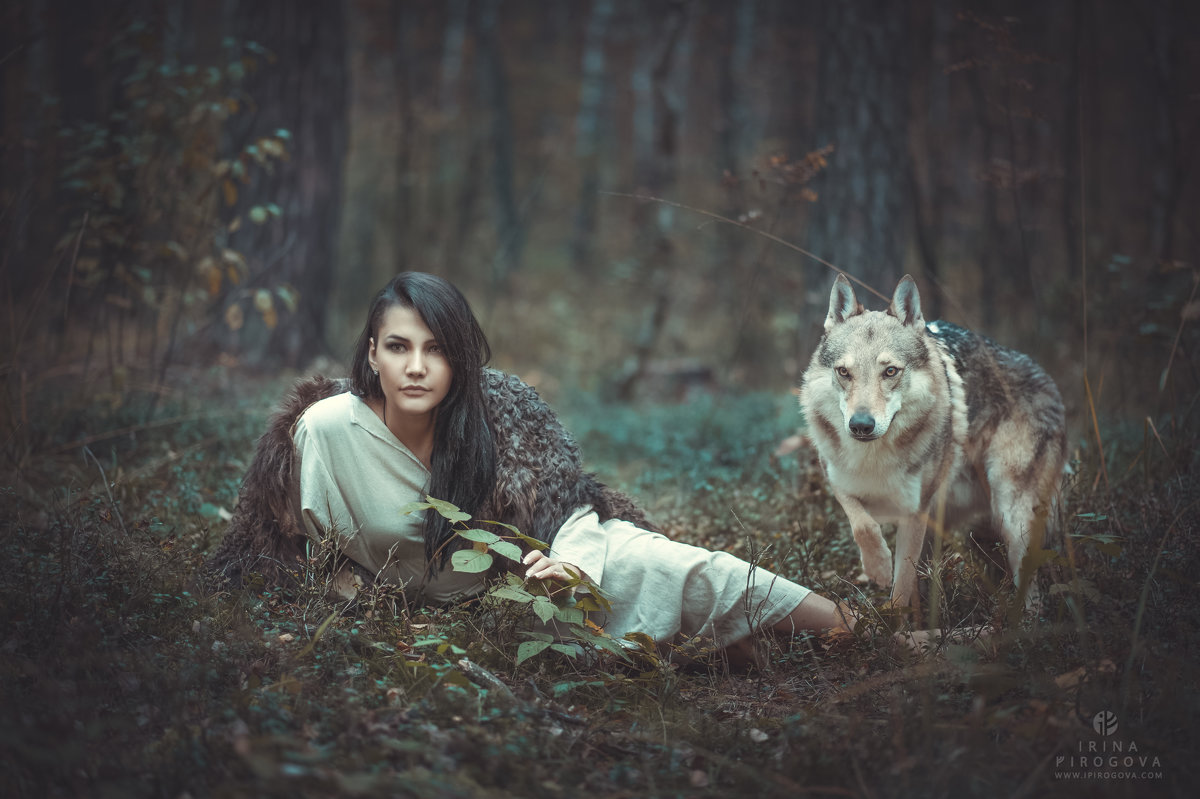 Фотосессия в лесу с волком