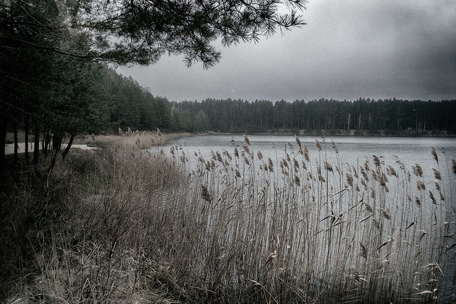 Осень и озеро. - Андрий Майковский