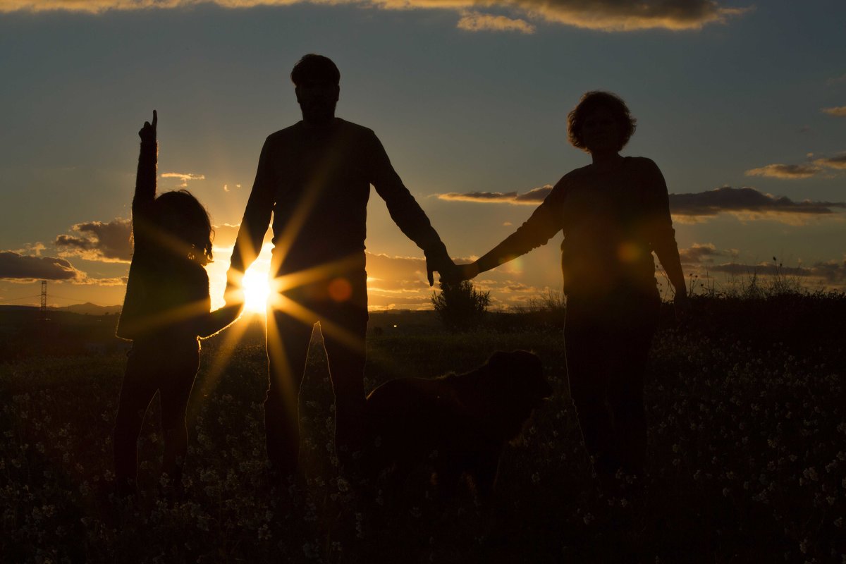 Семья в поле на закате - Olga Kudryashova