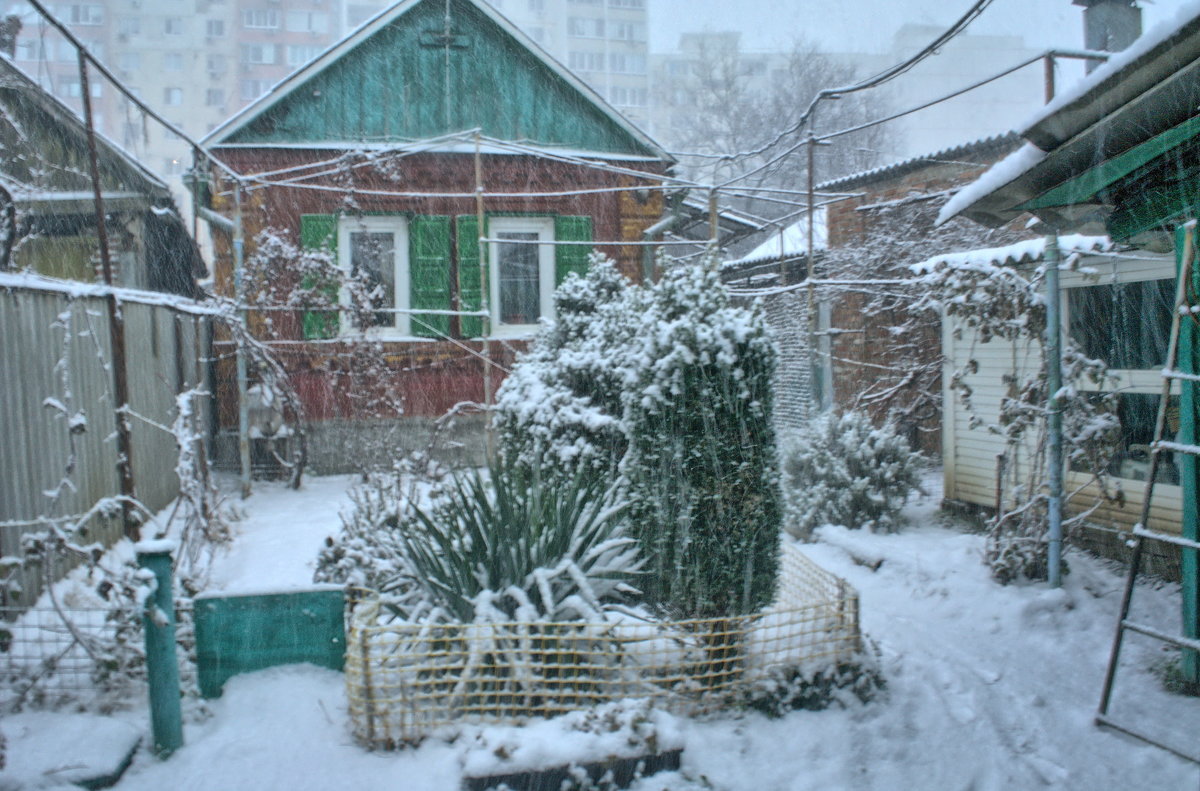 Снег идёт - Дмитрий 