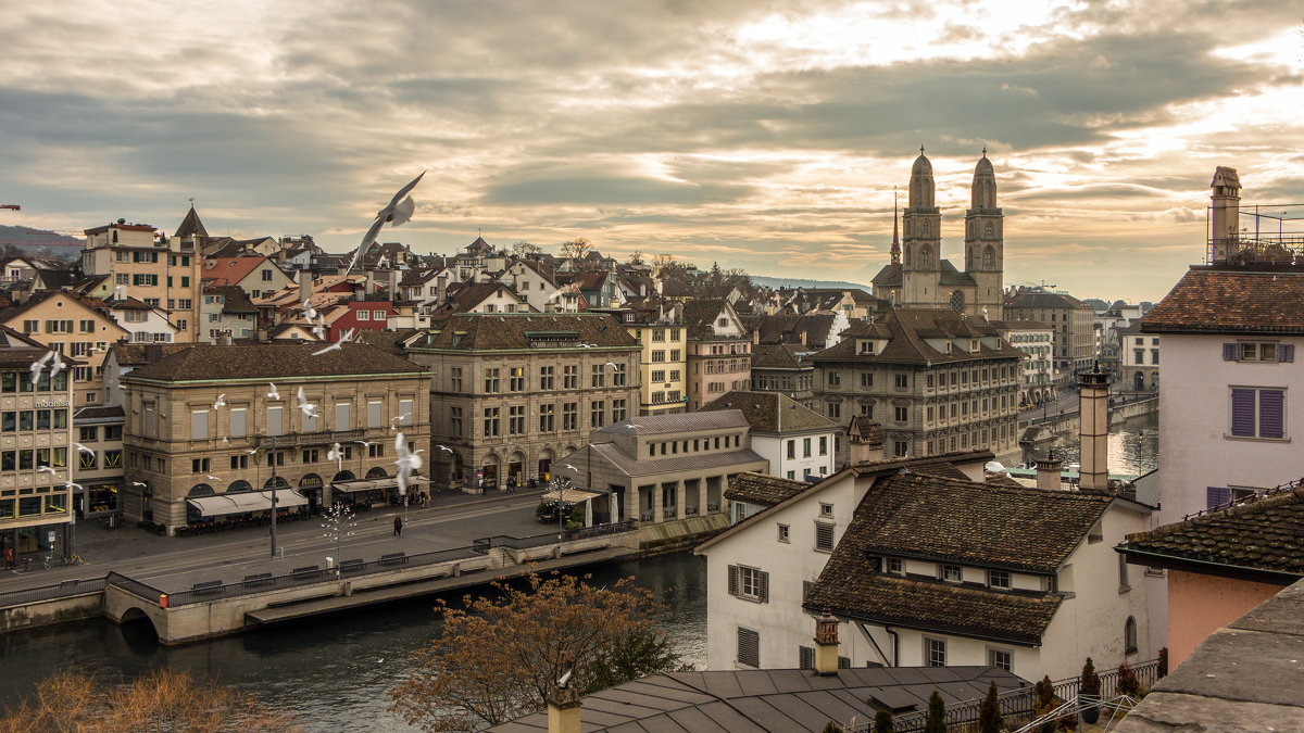 Панорама Цюриха с видом на собор Гроссмюнстер (Grossmünster) - Татьяна Bartel