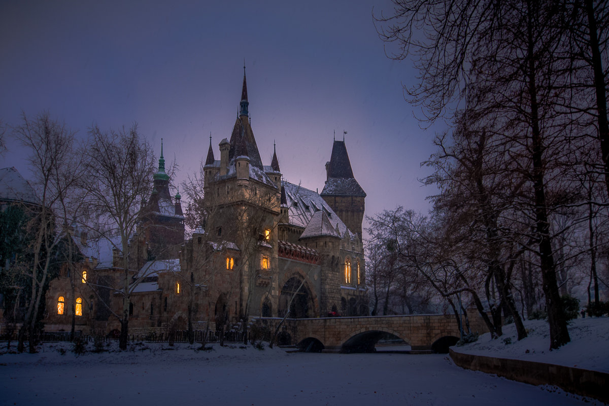 Замок Вайдахуняд в Будапеште - Тиша 