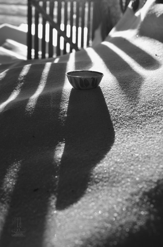 Долгое чаепитие на снегу - Сергей Шаврин