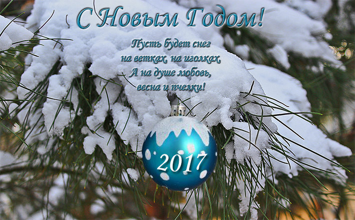 С Новым Годом, друзья! - Светлана 
