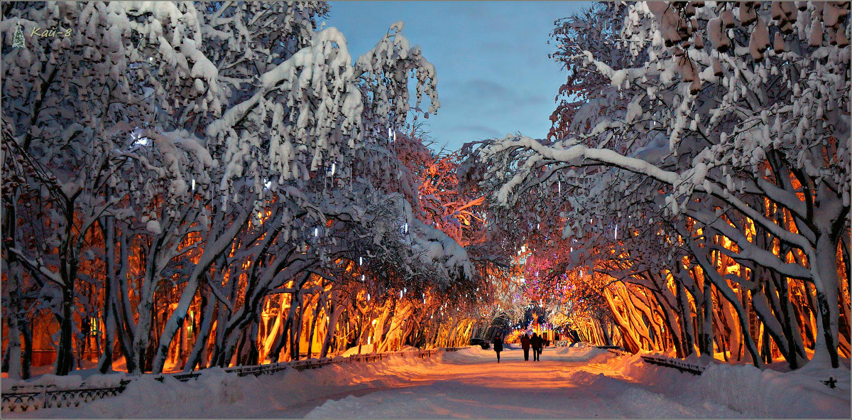 Североморск в Новогоднем интерьере - Кай-8 (Ярослав) Забелин