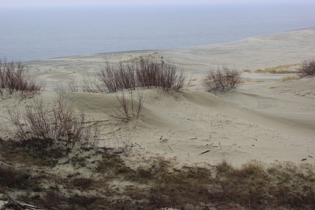 Песчаное море и Балтийское море - Марина Домосилецкая