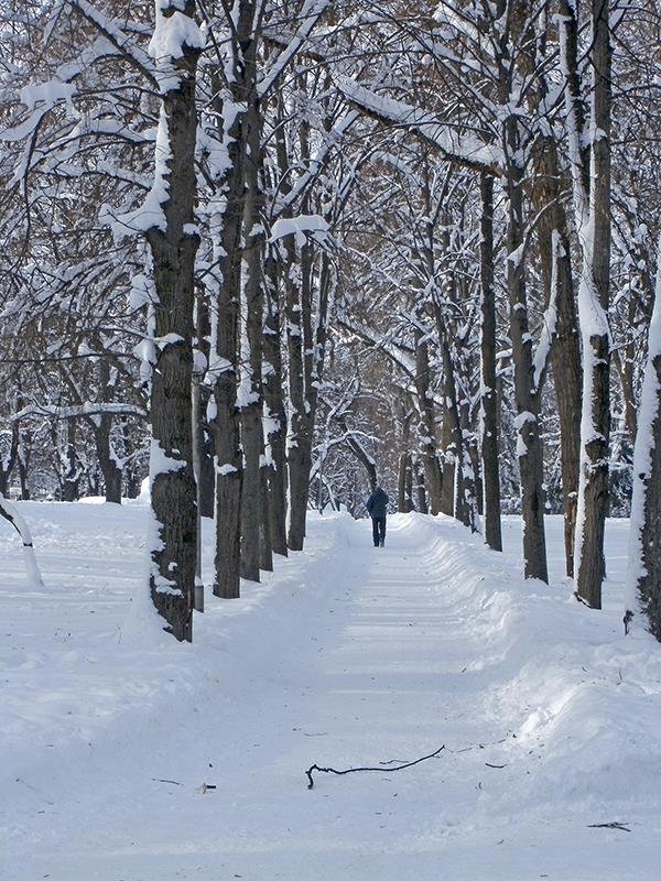 Вдоль аллеи - Сергей Тарабара