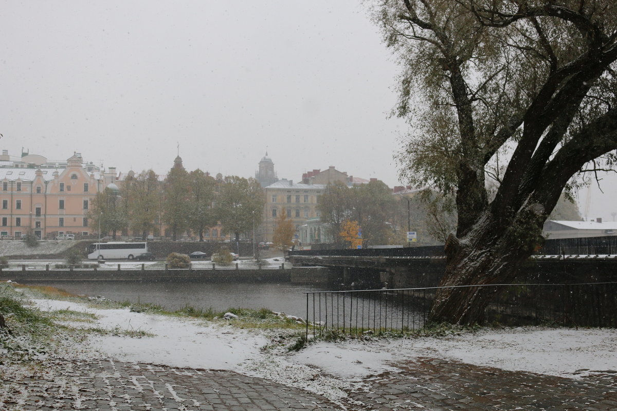 Снег в осеннем городе - Ольга 