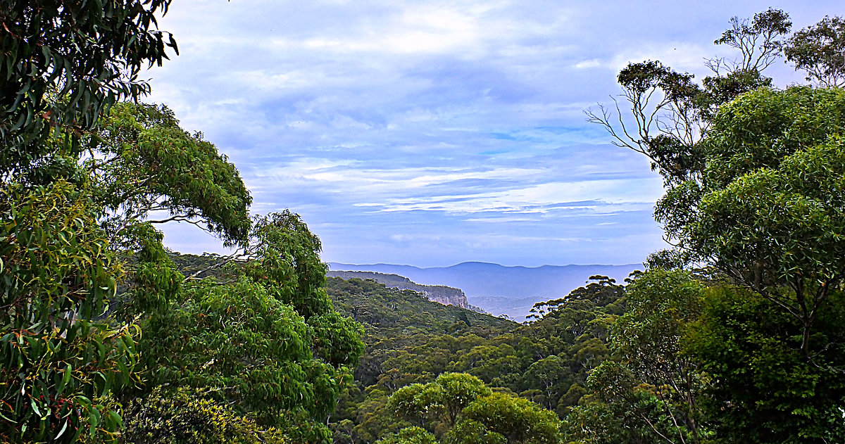 Australia. NSW. BLUE MOUNTAINS. Katoomba. 31/12/2016. - Rauf 