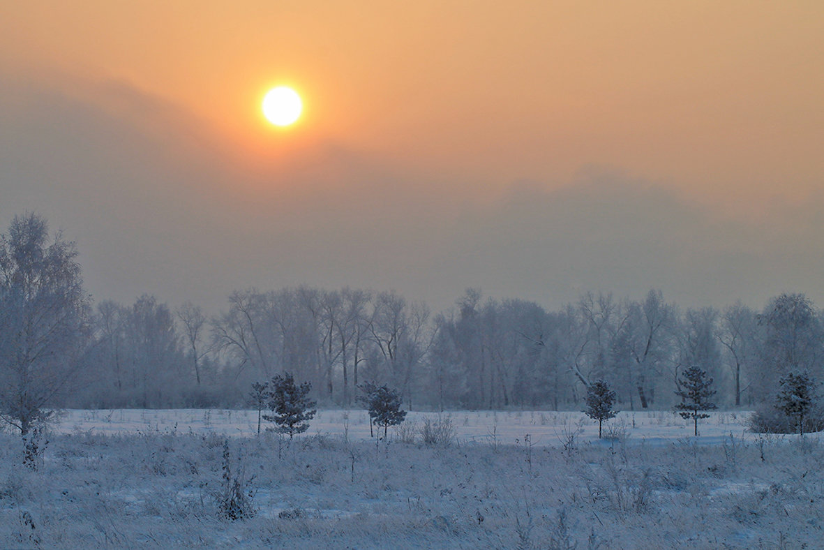 Солнце плывет в морозном мареве - Екатерина Торганская