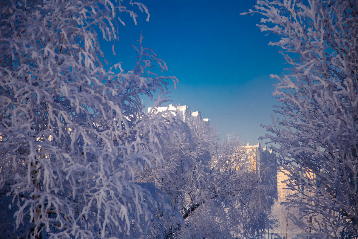 зима в Москве. - Валерий Гудков