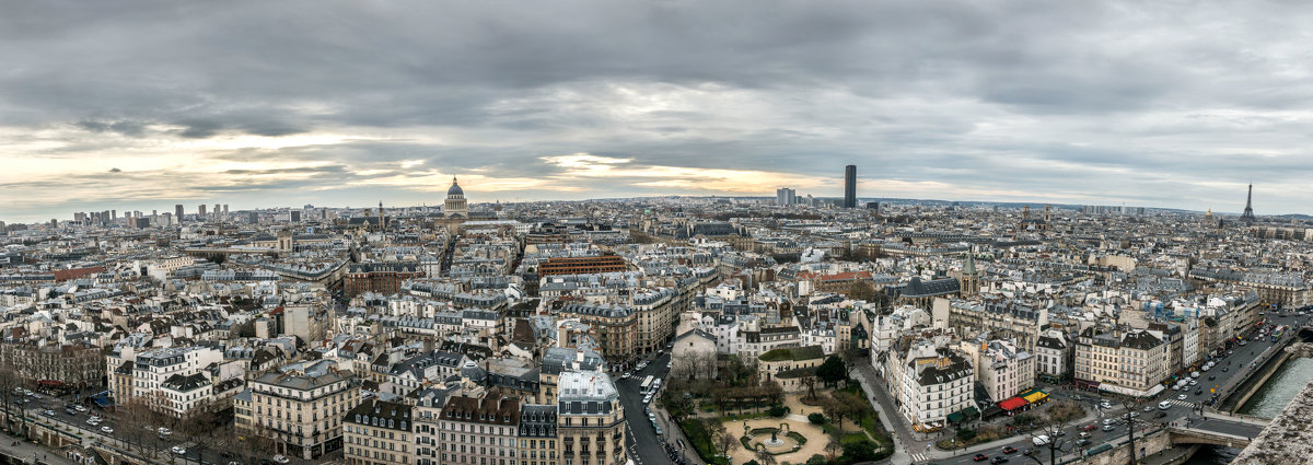 Панорама,Париж с собора Нотр-дам - Наталия Л.